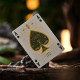 Notorious Gambling Frog (Orange) Playing Cards by Stockholm17