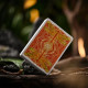 Notorious Gambling Frog (Orange) Playing Cards by Stockholm17