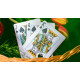 Butterfly Seasons Playing Cards Marked, Spring by Ondrej Psenicka