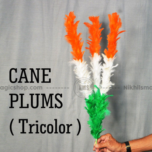 Cane Plum ( Tricolor ) 