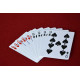 wild cards (9 Cards)