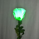 Dlite Rose ( RGB )