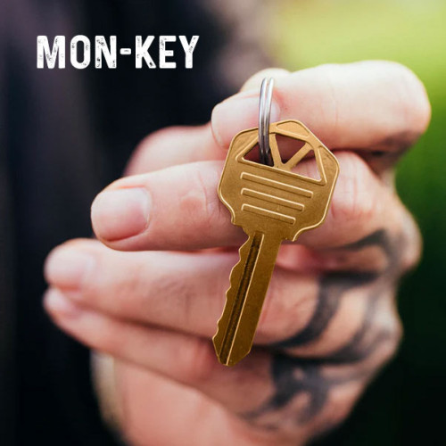 Mon-Key ( Key & Ring ) 