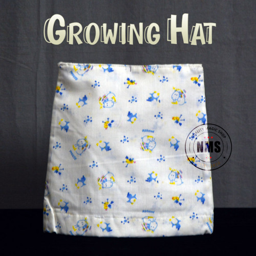 Growing Hat or Bag to Hat