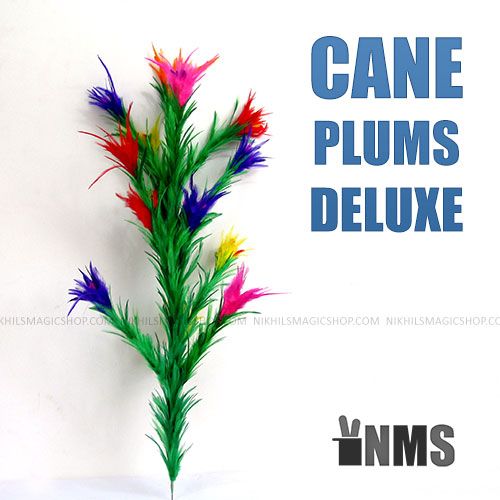 Cane Plums Deluxe