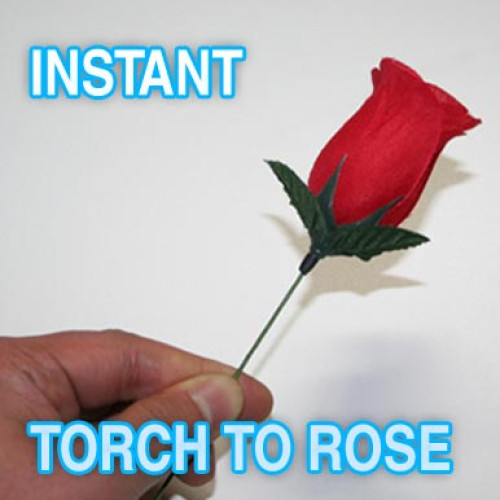 Instant Torch To Rose