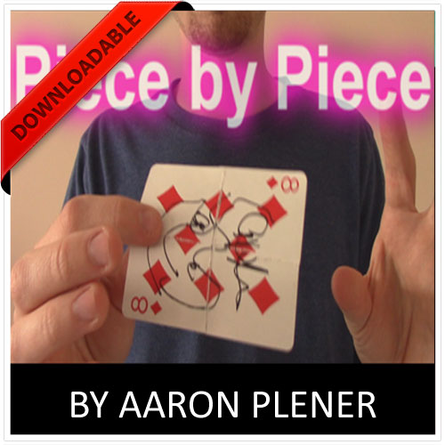 Piece by Piece by Aaron Plener (VIDEO DOWNLOAD)