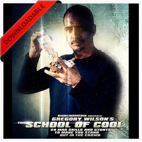 The School of Cool by Greg Wilson (VIDEO DOWNLOAD )